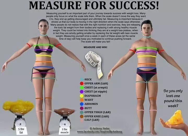 measure yourself